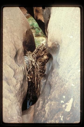 Down slot at drop near mouth of 73