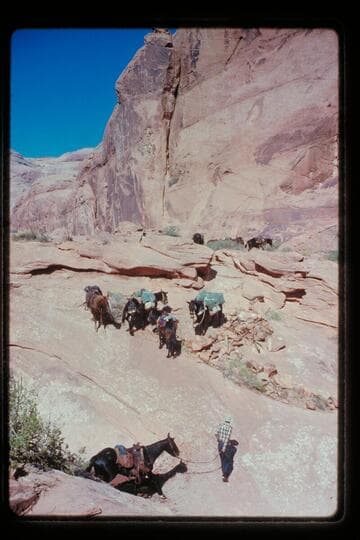 Up out of pass west of Nasja Creek