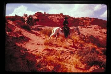 Down into drainage of Nasja Creek; return from Anasazi Canyon