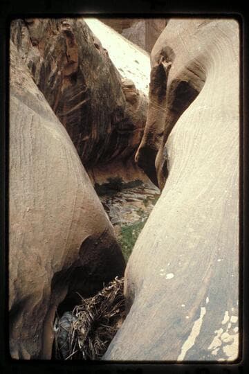 Down through drop near mouth of 73