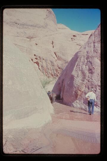 Pass out west of Nasja Creek, Dan leads through