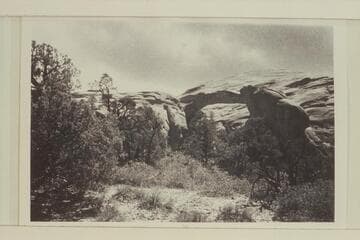Owl Bridge; Surprise Valley Trail.  "I think at top of last pass before final drop into the Valley."