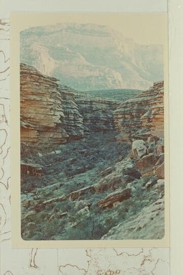 Ravine through Tapeats Formation east of Horn Creek
