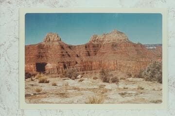 Zoro and Brahma from Rowlands