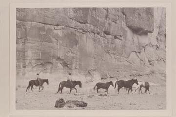 The Navajo wranglers take the stock out to graze from camp near Ba-Sah Bridge, Navajo Canyon