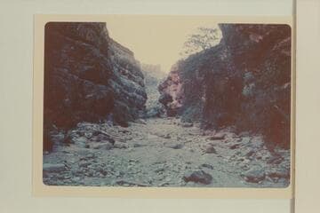 Up Kwagunt Hollow.  Kwagunt Hollow is tributary to Jumpup Canyon which is tributary to Kanab Creek which is tributary to the Colorado River at Mile 143 1/2 right bank