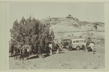 Transferring from carry-all to stock