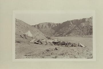 Spencer's Camp Ibex