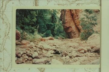 Spring in Beaver Canyon about half way between Little Coyote and Havasu