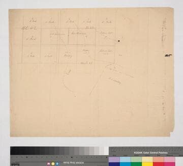 Los Angeles : Blocks 42, 45, & 46, Hancock's Survey
