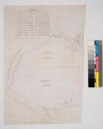 Plat of the Part of the Rancho Santa Gertrudes finally confirmed to James P. McFarland and John G. Downey