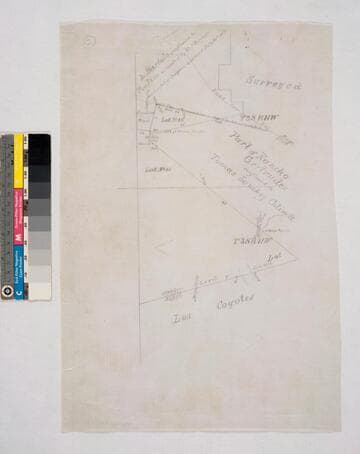 Plat of the Part of the Rancho Santa Gertrudes finally confirmed to James P. McFarland and John G. Downey