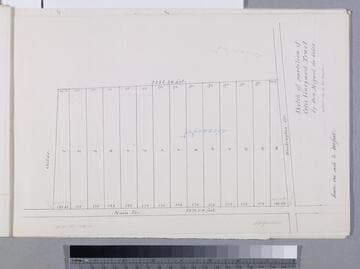 Sketch of partition of Celis Vineyard Tract