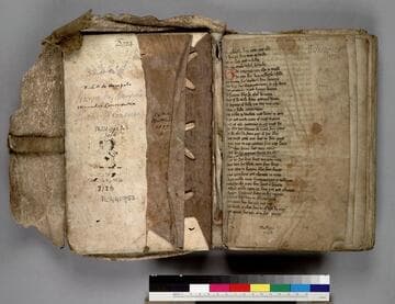 Pricke of Conscience : [manuscript]