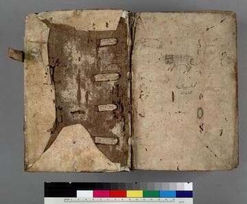 Northern homily cycle : [manuscript]