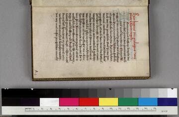 Rule and testament of St. Clare of Assisi, in Dutch : [manuscript]