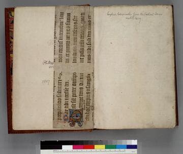 Brut Chronicle, in English : [manuscript]