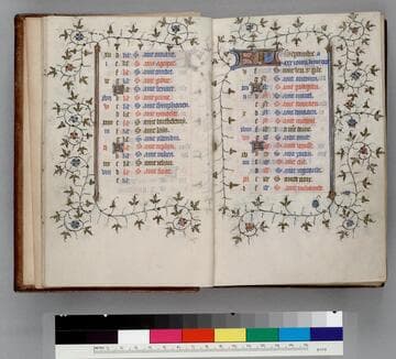 Book of Hours, use of Paris : [manuscript]
