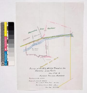 Survey of the W.L. Wills Tract