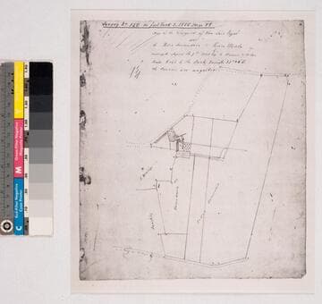 Map of the Vineyard of Don Luis Vigné sold to Pedro Sainsevain and Teresa Barela