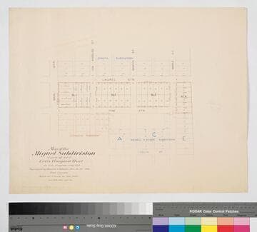 Miguel Subdivision of part of Lot 6, Celis Vineyard Tract