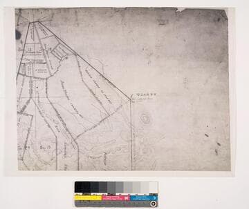 Map of the Rancho Rincon de la Brea subdivision