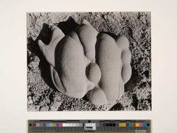 Sandstone Concretion, Salton Sea