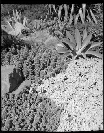 Projects for Joseph E. Howland: "Neutra House"