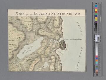 Part of the Island of Newfoundland: [showing Quiddy Viddy Pond]. [cartographic material]