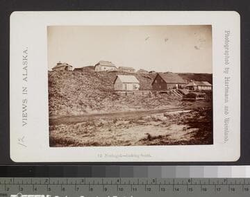 12. Nushagak -- looking South