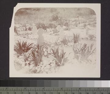 Moravian Cemetery Graves