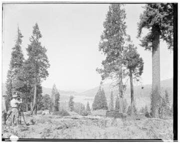 Big Creek, Shaver Lake Dam