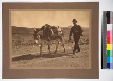 A Grub Stake Prospector on the Mojave Desert, not far from Death Valley, California, 1889