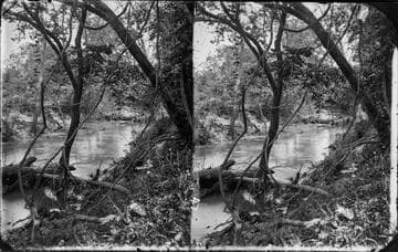 View of river, Seminole Nation, Indian Territory