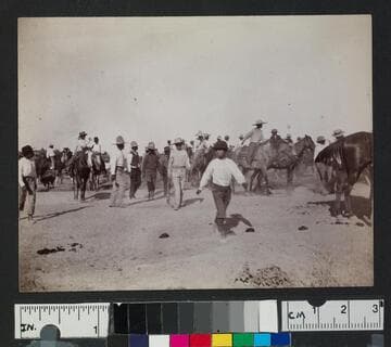 Boys and men with horses