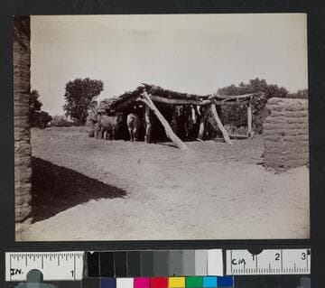 Horse corral of logs and brush