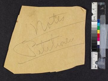 Handwritten and typed notes and draft pages for "The Petitioners"