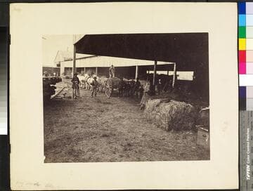 Hay sheds, Alexandria, Va