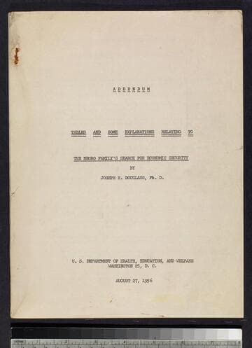 Addendum: Tables and Some Explanations Relating to The Negro's Family's Search for Economic Security