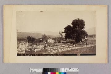 Bee-keeping in Cal.  -- Schliesmayer's home apiary