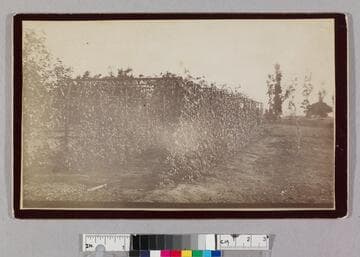 Raymond Nurseries, E. Pasadena, exterior view