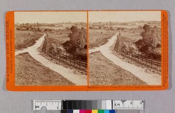 Residence of N. C. Carter, Esq., Willow Dale, San Gabriel