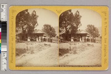 Landscape selections at "Fair Oaks."