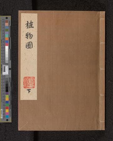 Shokubutsu Zu : [manuscript], [approximately 1800]