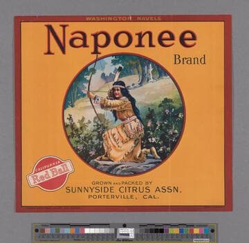 Naponee Brand