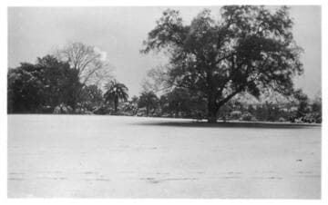 Huntington grounds after snowfall, January 15, 1932