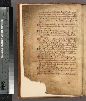 Statutes : [manuscript]