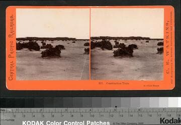 311.  Construction Train on Alkali Desert