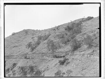 Horse-drawn stagecoaches on a road with people standing on a hill above, Catalina Island