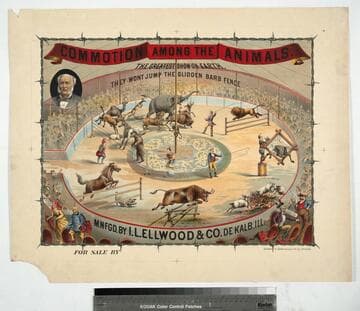 Commotion among the animals